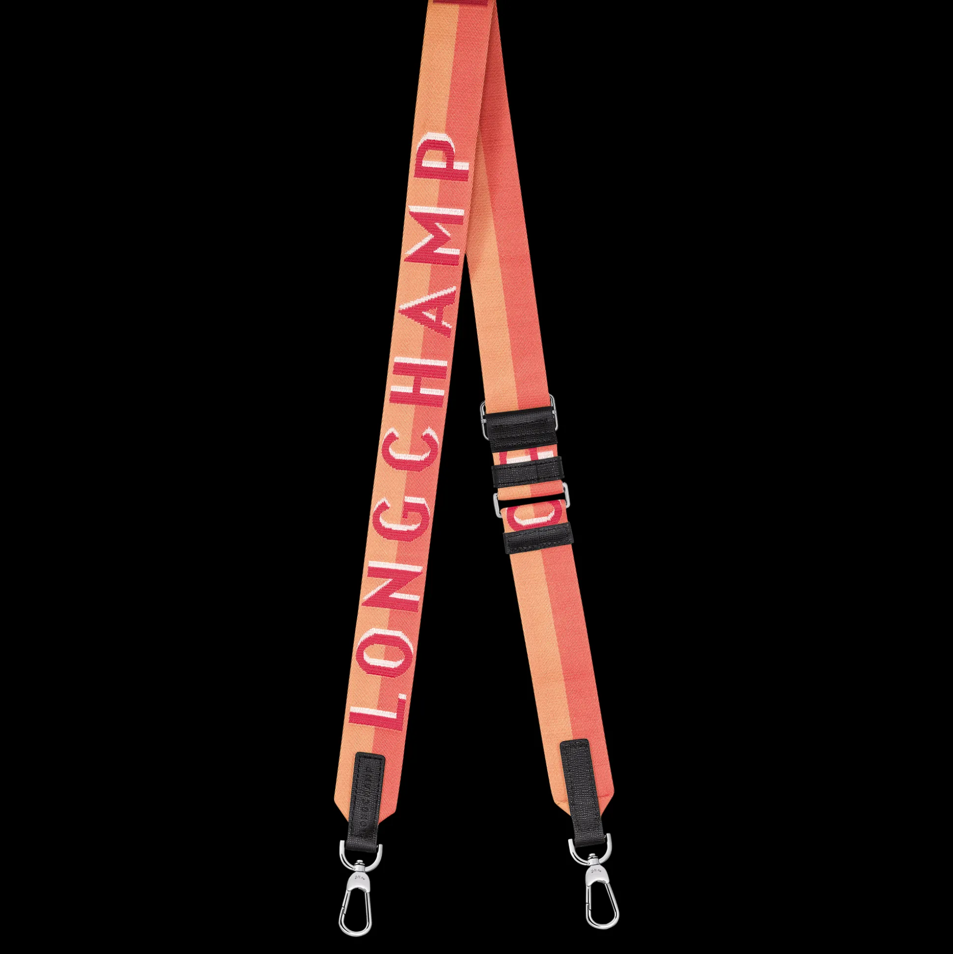 Bandoulière Longchamp Shadow