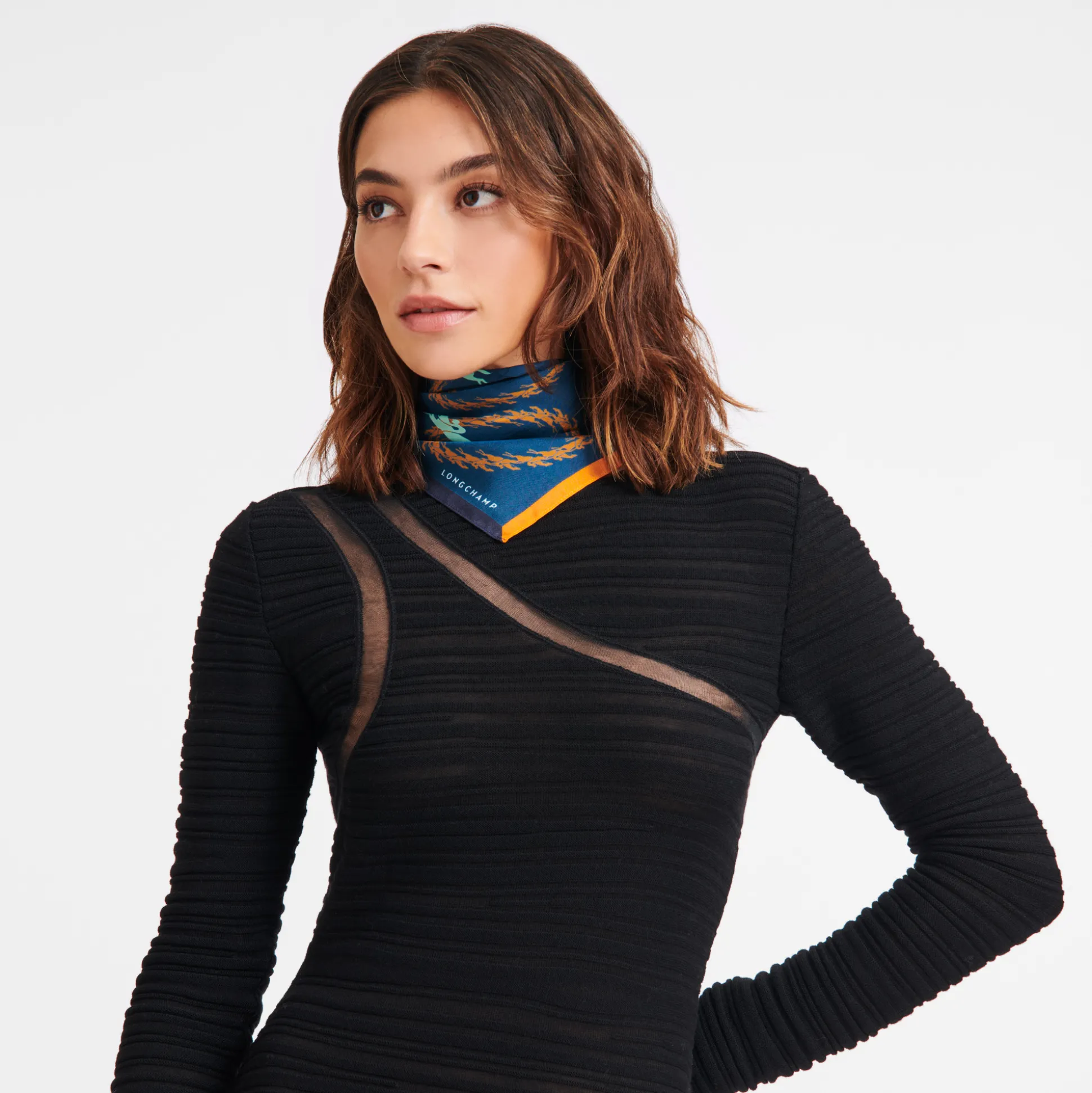 Carré De Soie 50 Manège Longchamp