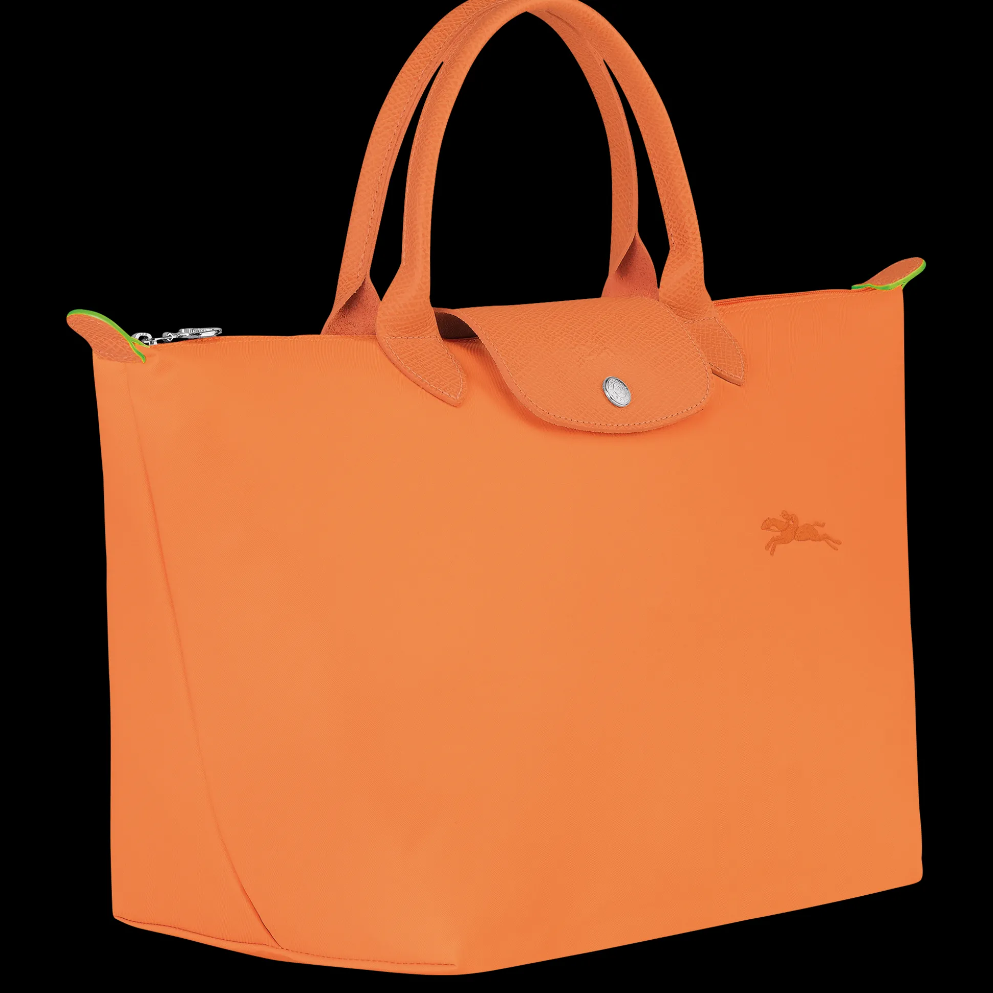 Sac à Main M Le Pliage Green